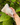 Sisal Mesh Bag | Bar Saver